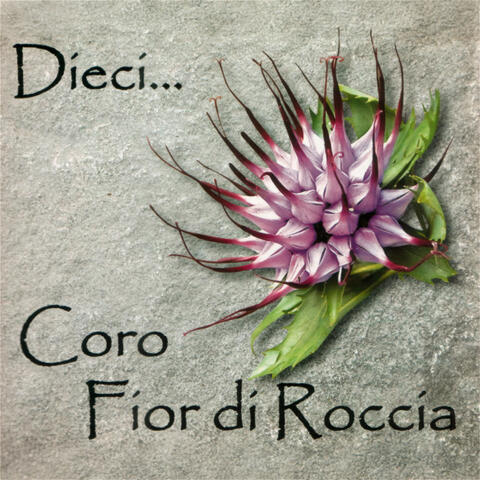 Dieci...
