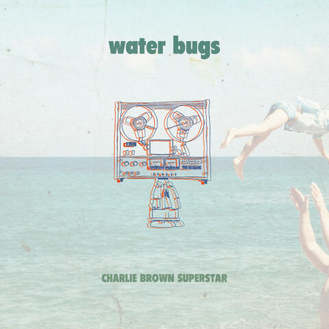Water Bugs