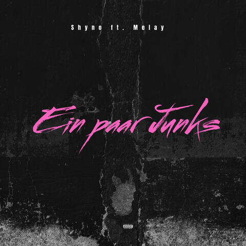 Ein Paar Junks