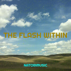 The Flash Within