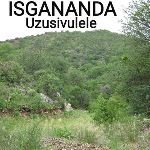 Uzusivulele