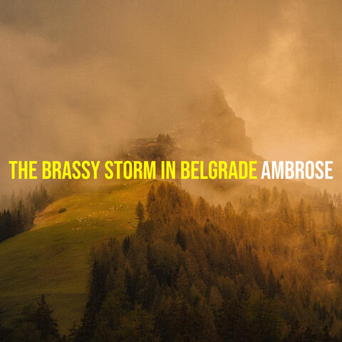 The Brassy Storm in Belgrade