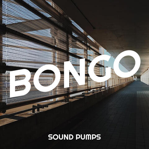Bongo