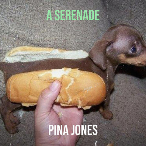 A Serenade