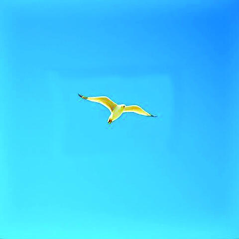 Unchained Sky
