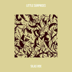 Little Surprises