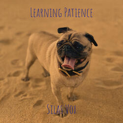 Learning Patience