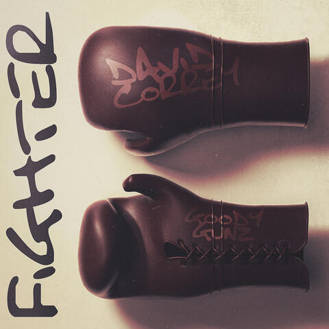 Fighter