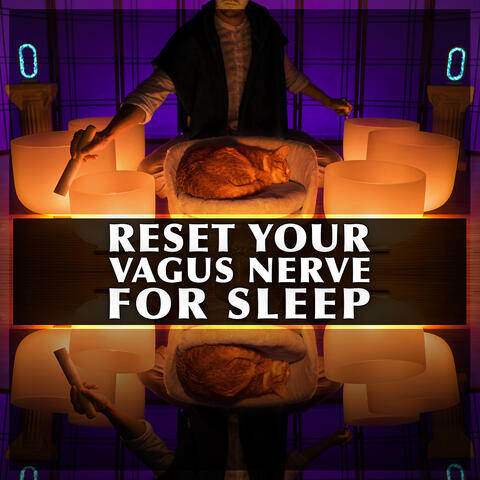 Reset Your Vagus Nerve for Sleep