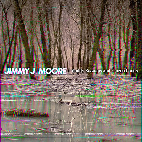Muddy Swamps and Frozen Ponds