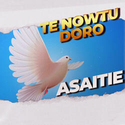 Te Nowtu Doro