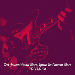 Teri Jawani Dank Mare, Larko Ko Current Mare