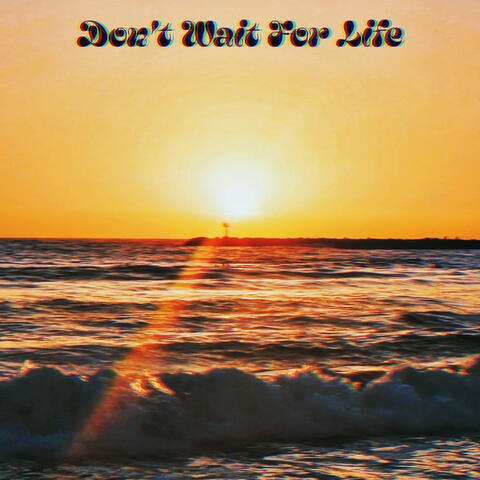 Don't Wait for Life
