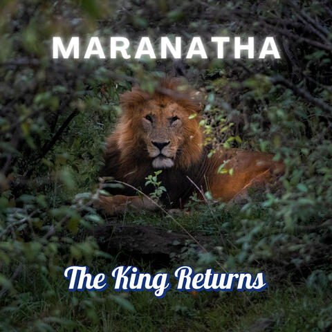 The King Returns