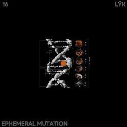 EPHEMERAL MUTATION