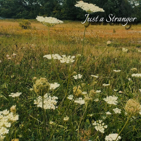 Just a Stranger