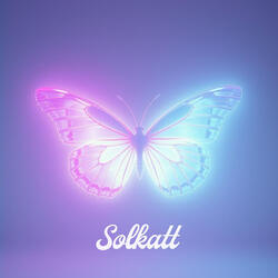 Butterfly Effect