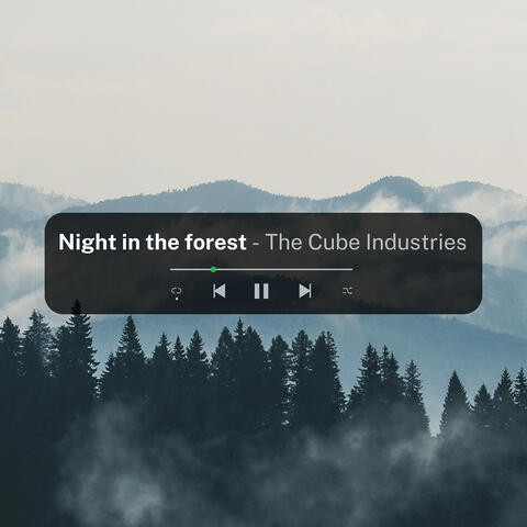 Night in the Forest