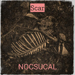Scar