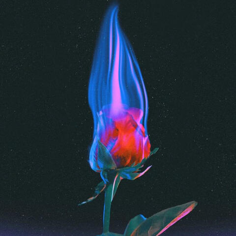 May Love Finds You