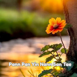 Pann Pan Yin Nann San Tae