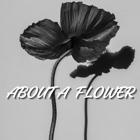 About a Flower