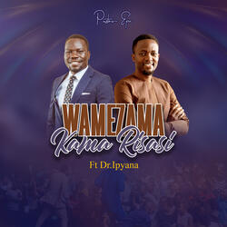 Wamezama Kama Risasi (Live)
