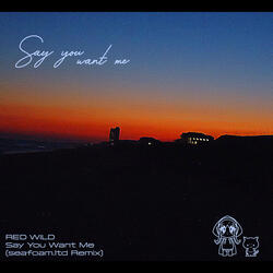 Say You Want Me (Red Wild Deep Deep Edit)