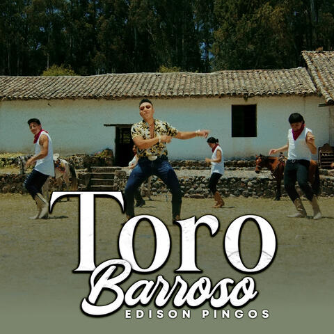 Toro Barroso