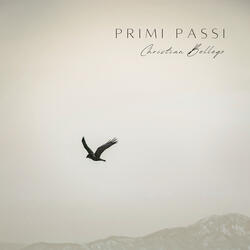 Primi Passi