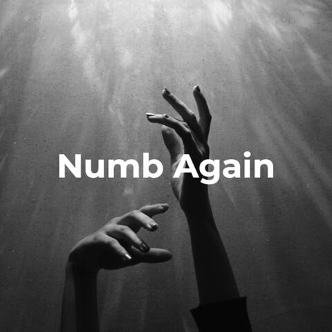 Numb Again