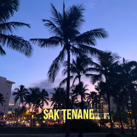 Sak Tenane