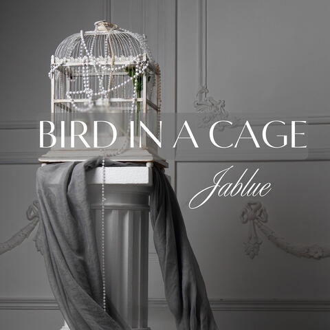 Bird in a Cage