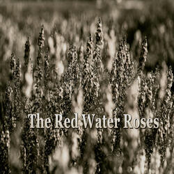 The Red Water Roses