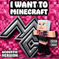 I Want to Minecraft (Acoustic Version)