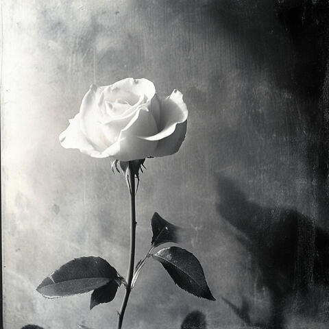 Everything I Lost