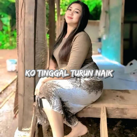 Ko Tinggal Turun Naik