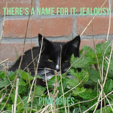 There's a Name for It: Jealousy