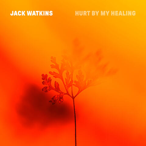 Hurt by My Healing