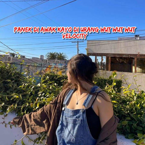 Panek Di Awak Kayo Di Urang Wut Wut Wut Velocity