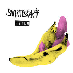 Fetus