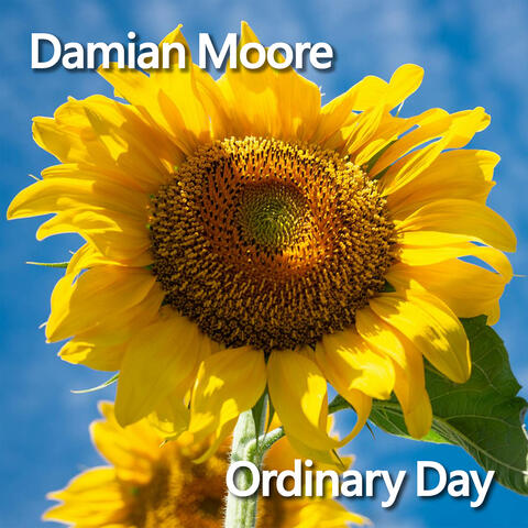Ordinary Day