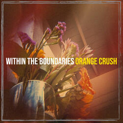 Within the Boundaries