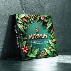 3 Maymun