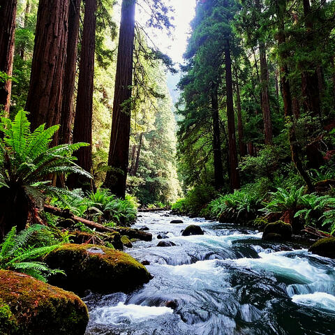 Whispering River