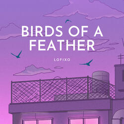 Birds of a Feather