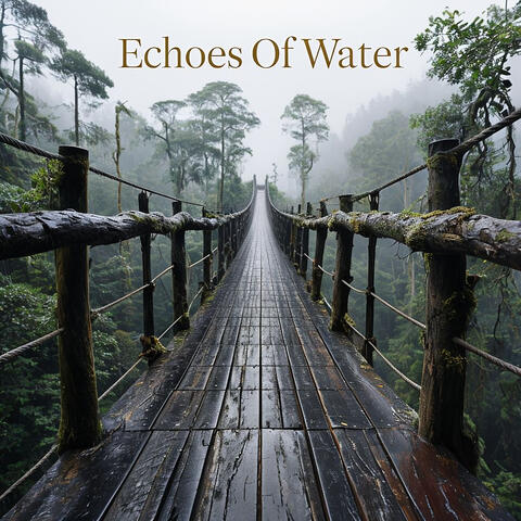 Echoes of Water