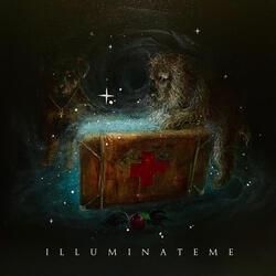 Illuminate Me