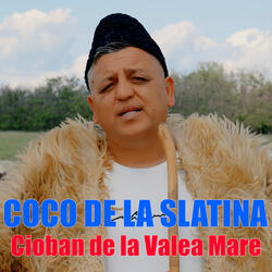 Cioban De La Valea Mare