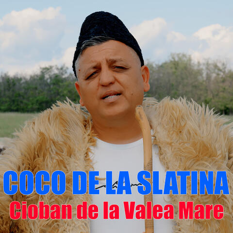 Cioban De La Valea Mare